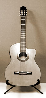 Ibanez Electro-Acoustic Classical Guitar