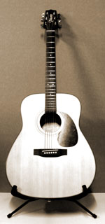 Takamine Acoustic Guitar