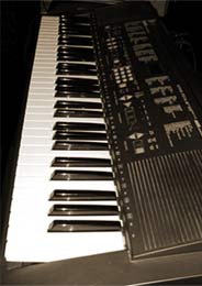 Yamaha PSR300